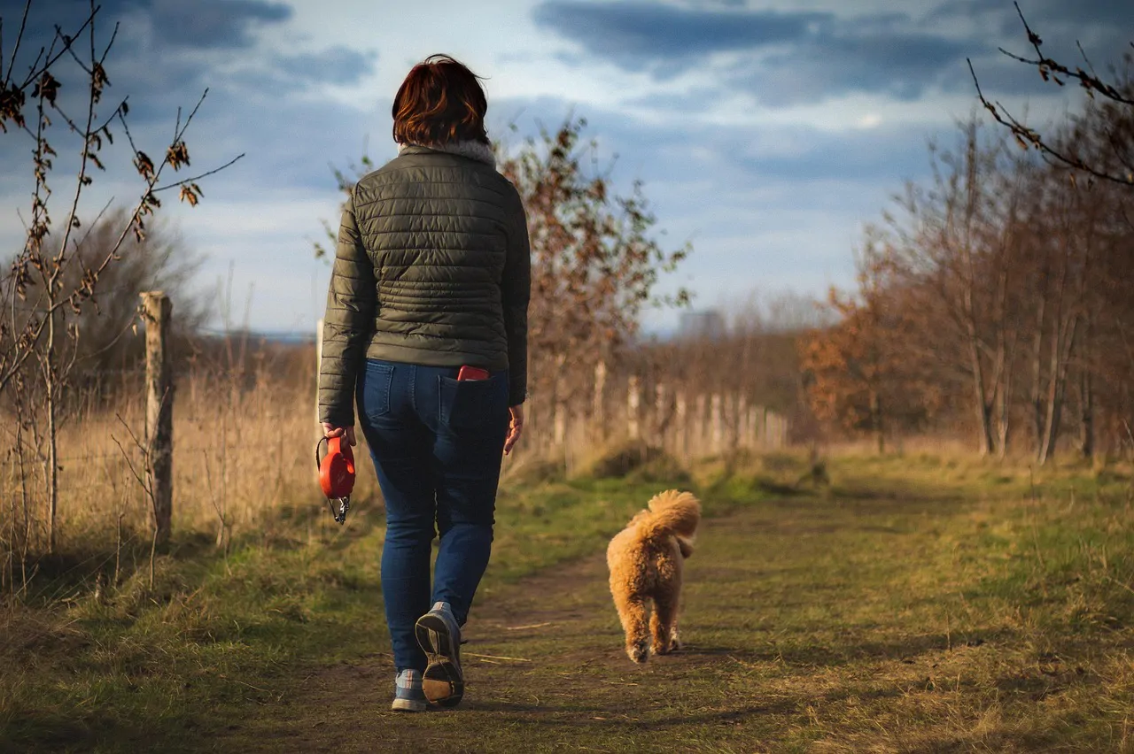 While pets remain an important source of support for people over 50—particularly by fostering social connections and giving them a sense of purpose—the associated expenses (costs related to food, care, vet visits, etc.) may prevent many older adults from enjoying the benefits of having a pet.