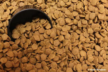Le pet food contient des espèces animales non spécifiées, voire non identifiées