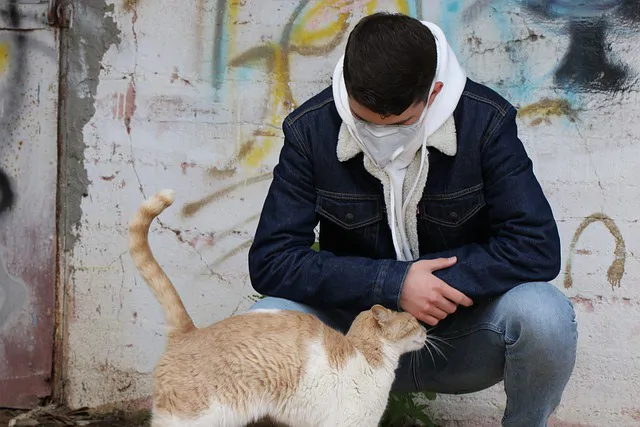 COVID19 : Les chats et les furets à risques