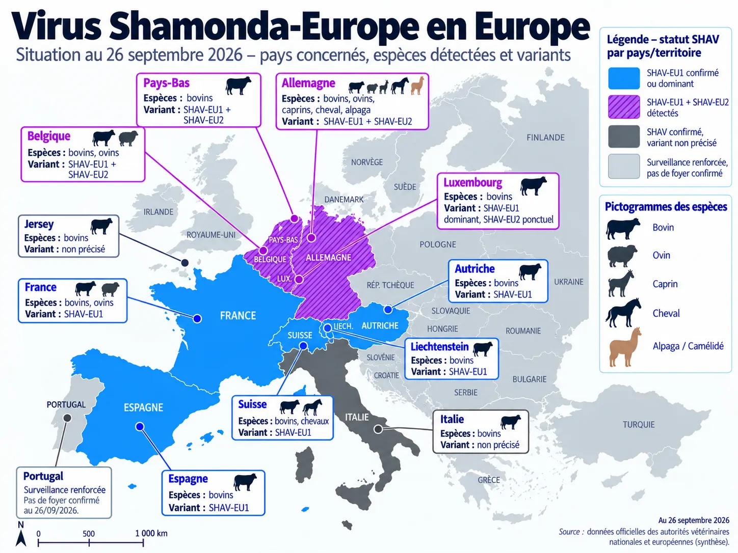Virus Shamonda : l’infection s’étend en Europe et les premières atteintes congénitales se précisent